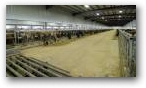 Cross Ventilated Freestall Barn  » Click to zoom ->