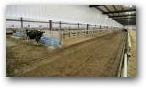 Cross Ventilated Freestall Barn  » Click to zoom ->